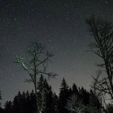 Taevalikud rõõmud: Tähtede vaatemängu pakub veebruari öine taevas